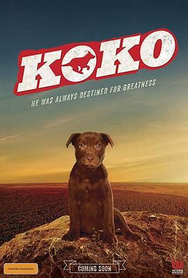 Koko红犬历险记(大结局)